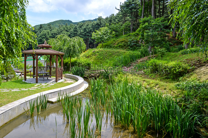 Pocheon "Under the Sky" Healing Forest
