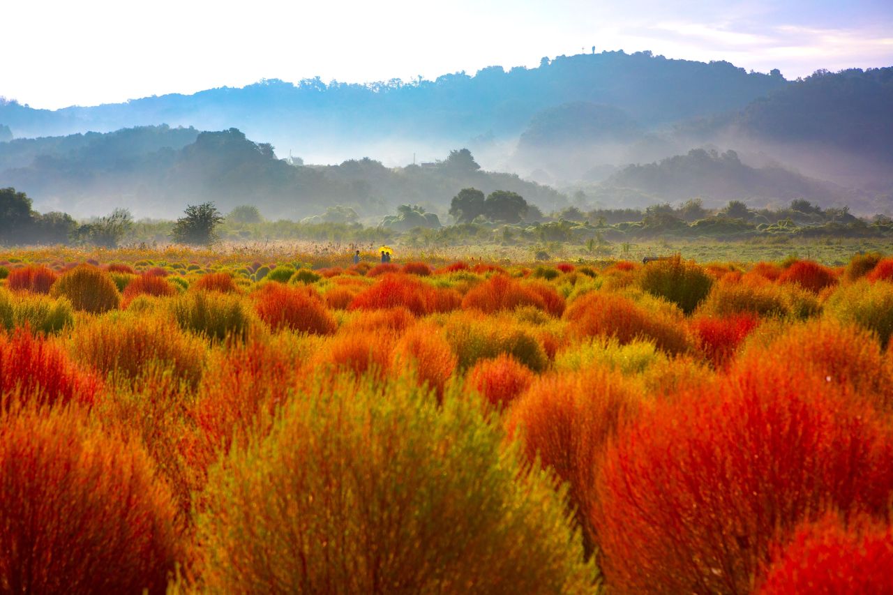 Autumn in Yeoncheon