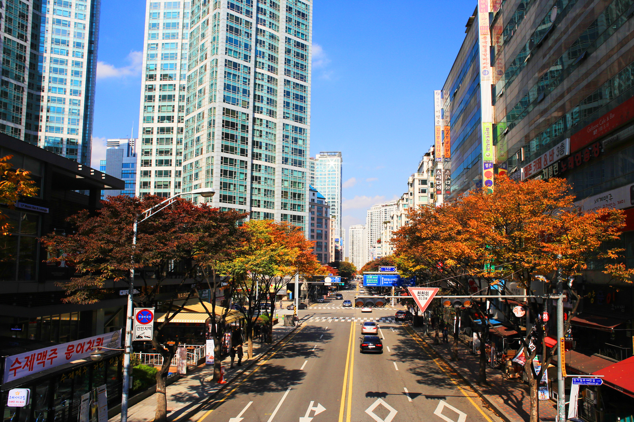 Bundang Cafe Street